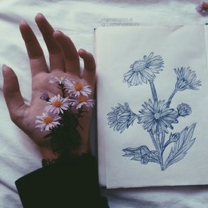 Meet your Posher, Noelle